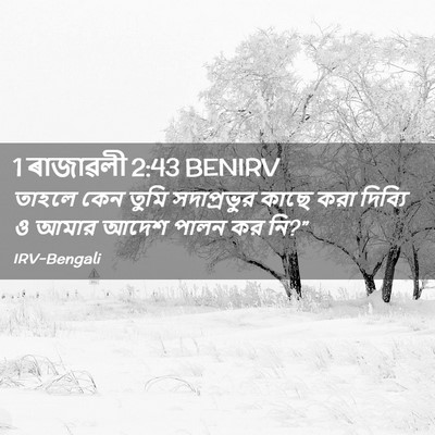 Picture 02 - 1 ৰাজাৱলী 2:43 BENIRV - তাহলে কেন তুমি - Bible Verse Picture
