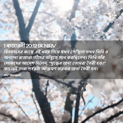 Picture 02 - 1 ৰাজাৱলী 20:12 BENIRV - বিনহদদের কাছে এই - Bible Verse Picture