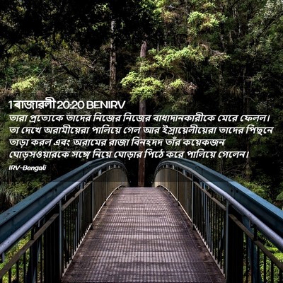 Picture 02 - 1 ৰাজাৱলী 20:20 BENIRV - তারা প্রত্যেকে - Bible Verse Picture
