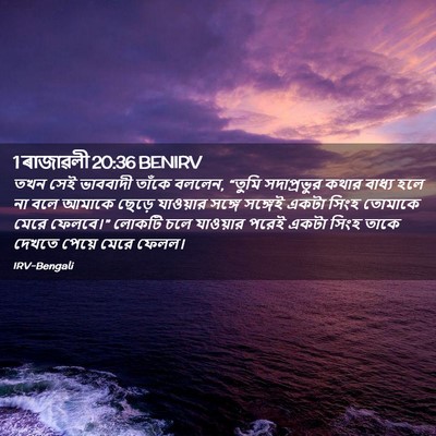 Picture 02 - 1 ৰাজাৱলী 20:36 BENIRV - তখন সেই ভাববাদী - Bible Verse Picture