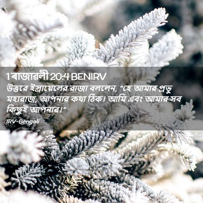 Picture 02 - 1 ৰাজাৱলী 20:4 BENIRV - উত্তরে - Bible Verse Picture