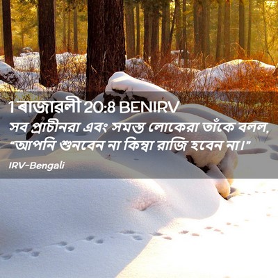 Picture 02 - 1 ৰাজাৱলী 20:8 BENIRV - সব প্রাচীনরা এবং - Bible Verse Picture