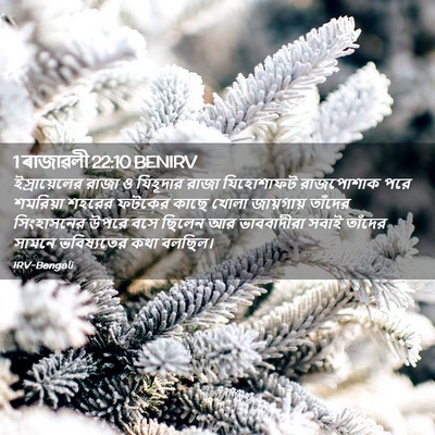 Picture 02 - 1 ৰাজাৱলী 22:10 BENIRV - ইস্রায়েলের রাজা - Bible Verse Picture
