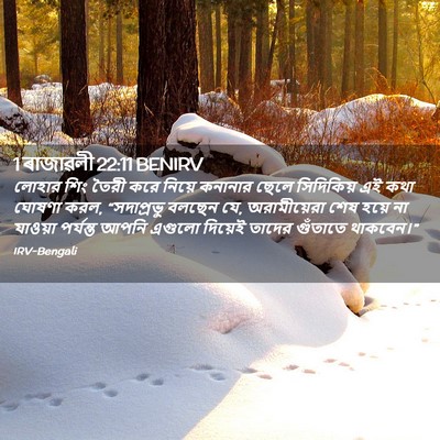 Picture 02 - 1 ৰাজাৱলী 22:11 BENIRV - লোহার শিং তৈরী করে - Bible Verse Picture