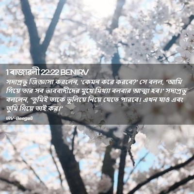 Picture 02 - 1 ৰাজাৱলী 22:22 BENIRV - সদাপ্রভু জিজ্ঞাসা - Bible Verse Picture