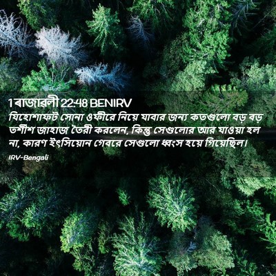 Picture 02 - 1 ৰাজাৱলী 22:48 BENIRV - যিহোশাফট সোনা - Bible Verse Picture