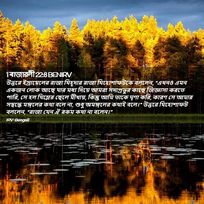 Picture 02 - 1 ৰাজাৱলী 22:8 BENIRV - উত্তরে - Bible Verse Picture