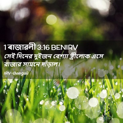 Picture 02 - 1 ৰাজাৱলী 3:16 BENIRV - সেই দিনের দুইজন - Bible Verse Picture