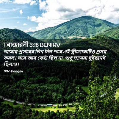 Picture 02 - 1 ৰাজাৱলী 3:18 BENIRV - আমার প্রসবের তিন - Bible Verse Picture