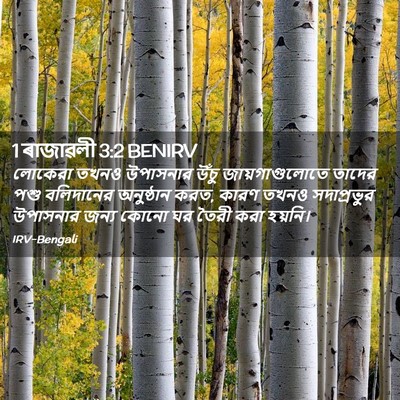 Picture 02 - 1 ৰাজাৱলী 3:2 BENIRV - লোকেরা তখনও - Bible Verse Picture