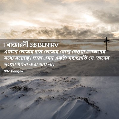Picture 02 - 1 ৰাজাৱলী 3:8 BENIRV - এখানে তোমার দাস - Bible Verse Picture