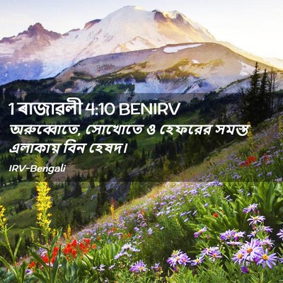 Picture 02 - 1 ৰাজাৱলী 4:10 BENIRV - অরুব্বোতে, সোখোতে - Bible Verse Picture