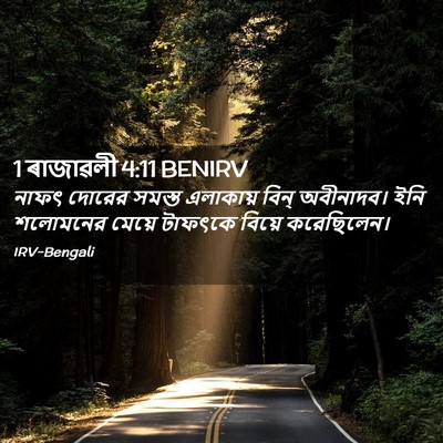 Picture 02 - 1 ৰাজাৱলী 4:11 BENIRV - নাফৎ দোরের সমস্ত - Bible Verse Picture