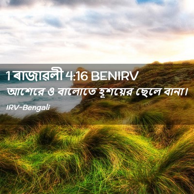 Picture 02 - 1 ৰাজাৱলী 4:16 BENIRV - আশেরে ও বালোতে - Bible Verse Picture