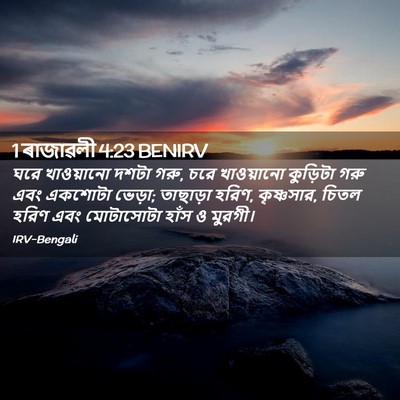 Picture 02 - 1 ৰাজাৱলী 4:23 BENIRV - ঘরে খাওয়ানো দশটা - Bible Verse Picture