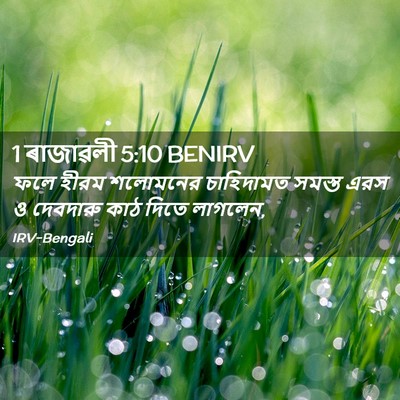 Picture 02 - 1 ৰাজাৱলী 5:10 BENIRV - ফলে হীরম শলোমনের - Bible Verse Picture