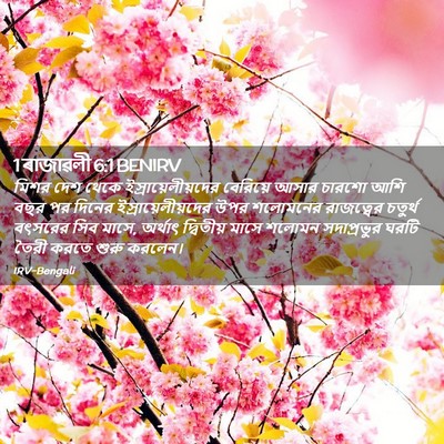 Picture 02 - 1 ৰাজাৱলী 6:1 BENIRV - মিশর দেশ থেকে - Bible Verse Picture