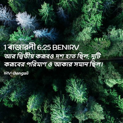 Picture 02 - 1 ৰাজাৱলী 6:25 BENIRV - আর দ্বিতীয় করূবও - Bible Verse Picture