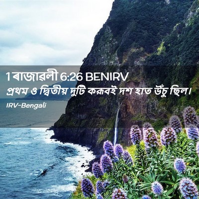 Picture 02 - 1 ৰাজাৱলী 6:26 BENIRV - প্রথম ও দ্বিতীয় - Bible Verse Picture