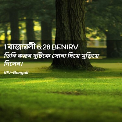 Picture 02 - 1 ৰাজাৱলী 6:28 BENIRV - তিনি করূব দুটিকে - Bible Verse Picture
