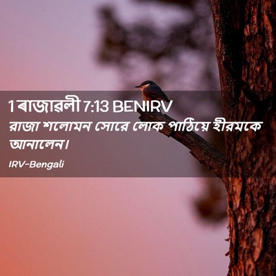 Picture 02 - 1 ৰাজাৱলী 7:13 BENIRV - রাজা শলোমন সোরে - Bible Verse Picture