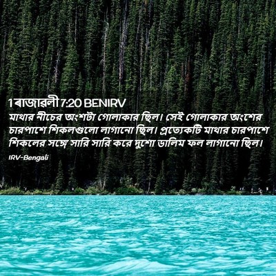 Picture 02 - 1 ৰাজাৱলী 7:20 BENIRV - মাথার নীচের অংশটা - Bible Verse Picture