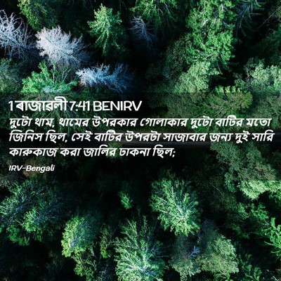 Picture 02 - 1 ৰাজাৱলী 7:41 BENIRV - দুটো থাম, থামের - Bible Verse Picture