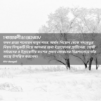 Picture 02 - 1 ৰাজাৱলী 8:1 BENIRV - তখন রাজা শলোমন - Bible Verse Picture