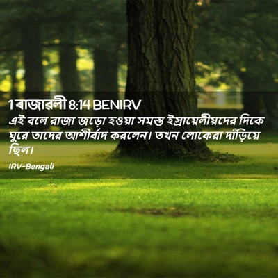 Picture 02 - 1 ৰাজাৱলী 8:14 BENIRV - এই বলে রাজা জড়ো - Bible Verse Picture