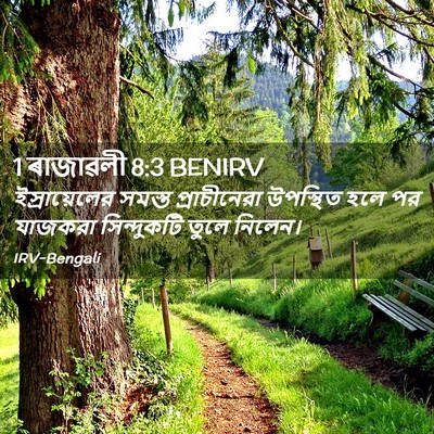 Picture 02 - 1 ৰাজাৱলী 8:3 BENIRV - ইস্রায়েলের সমস্ত - Bible Verse Picture