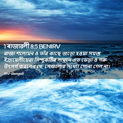 Picture 02 - 1 ৰাজাৱলী 8:5 BENIRV - রাজা শলোমন ও তাঁর - Bible Verse Picture