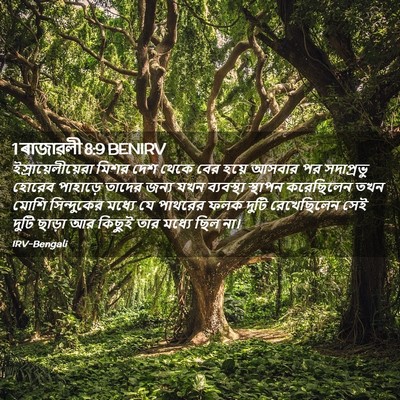 Picture 02 - 1 ৰাজাৱলী 8:9 BENIRV - ইস্রায়েলীয়েরা - Bible Verse Picture