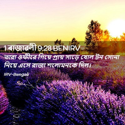 Picture 02 - 1 ৰাজাৱলী 9:28 BENIRV - তারা ওফীরে গিয়ে - Bible Verse Picture
