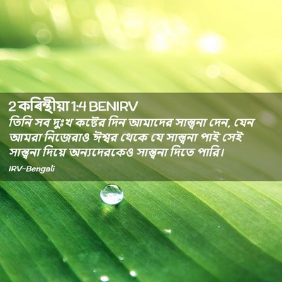 Picture 02 - 2 কৰিন্থীয়া 1:4 BENIRV - তিনি সব দুঃখ - Bible Verse Picture