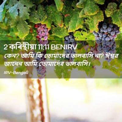 Picture 02 - 2 কৰিন্থীয়া 11:11 BENIRV - কেন? আমি কি তোমাদের - Bible Verse Picture