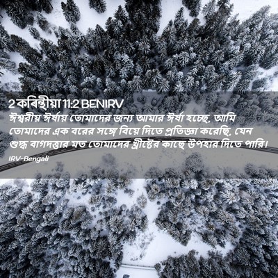 Picture 02 - 2 কৰিন্থীয়া 11:2 BENIRV - ঈশ্বরীয় ঈর্ষায় - Bible Verse Picture