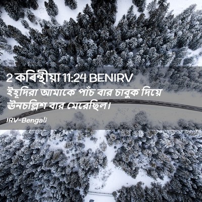 Picture 02 - 2 কৰিন্থীয়া 11:24 BENIRV - ইহূদিরা আমাকে - Bible Verse Picture