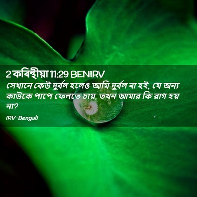 Picture 02 - 2 কৰিন্থীয়া 11:29 BENIRV - সেখানে কেউ দুর্বল - Bible Verse Picture