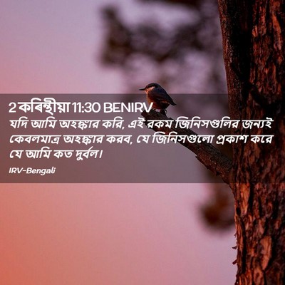 Picture 02 - 2 কৰিন্থীয়া 11:30 BENIRV - যদি আমি অহঙ্কার - Bible Verse Picture