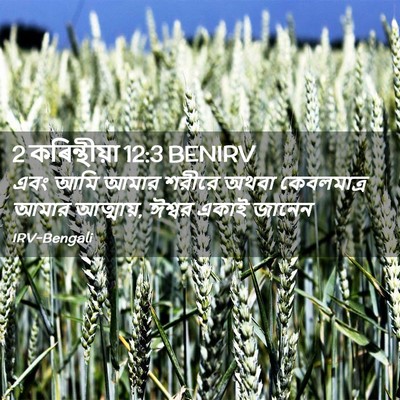 Picture 02 - 2 কৰিন্থীয়া 12:3 BENIRV - এবং আমি আমার শরীরে - Bible Verse Picture