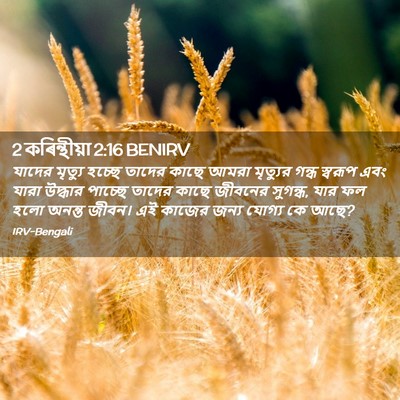 Picture 02 - 2 কৰিন্থীয়া 2:16 BENIRV - যাদের মৃত্যু - Bible Verse Picture