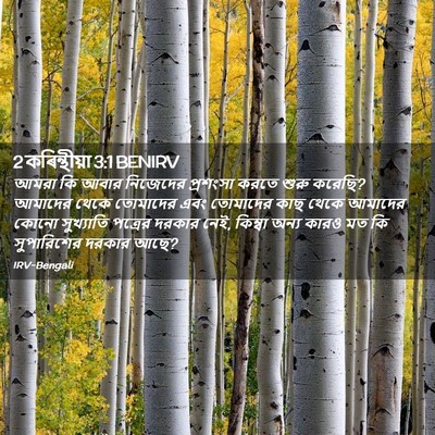 Picture 02 - 2 কৰিন্থীয়া 3:1 BENIRV - আমরা কি আবার - Bible Verse Picture