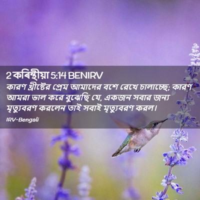 Picture 02 - 2 কৰিন্থীয়া 5:14 BENIRV - কারণ খ্রীষ্টের - Bible Verse Picture