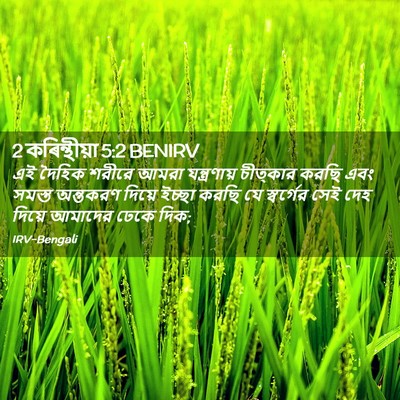 Picture 02 - 2 কৰিন্থীয়া 5:2 BENIRV - এই দৈহিক শরীরে - Bible Verse Picture