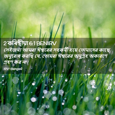 Picture 02 - 2 কৰিন্থীয়া 6:1 BENIRV - সেইজন্য আমরা - Bible Verse Picture