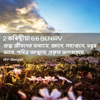 Picture 02 - 2 কৰিন্থীয়া 6:6 BENIRV - শুদ্ধ জীবনের - Bible Verse Picture