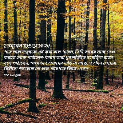 Picture 02 - 2 চমূৱেল 10:5 BENIRV - পরে তারা দায়ূদকে - Bible Verse Picture