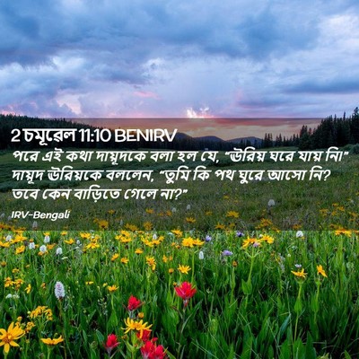 Picture 02 - 2 চমূৱেল 11:10 BENIRV - পরে এই কথা - Bible Verse Picture