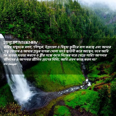 Picture 02 - 2 চমূৱেল 11:11 BENIRV - ঊরিয় দায়ূদকে - Bible Verse Picture