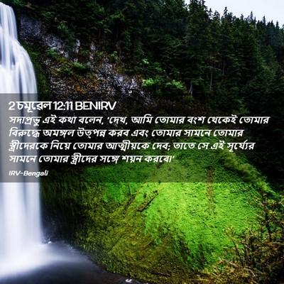 Picture 02 - 2 চমূৱেল 12:11 BENIRV - সদাপ্রভু এই কথা - Bible Verse Picture